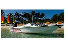 Diving in the Bahamas is an Experience YOU should be Having NOW