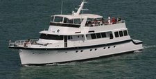 Explore Florida on a luxurious motor yacht