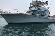 Eggharbor Bluewater Sportfisher, that is ready to take you fishing.