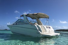 Private LuXury  (Rose Island,Snorkeling,Turtles) Half Day Charter