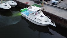 Sea STar Walkarounf 30 feet