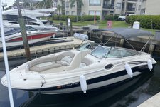 Amazing Boat to Party