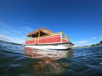Enjoy Boat Tours with your friends and family !!