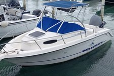 Snorkeling, Swim with Turtles & Beach Day   Nassau, The Bahamas!