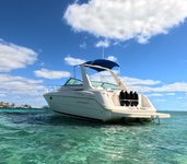 Private Luxury  (Rose Island,Snorkeling,Turtles) Half Day Charter