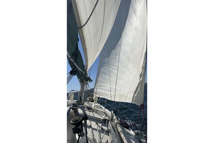 Cruiser boat rental in Al Larson Boat Shop & Marina, CA