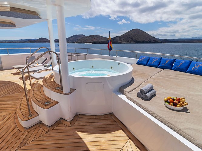 Jump aboard this beautiful  Power Catamaran