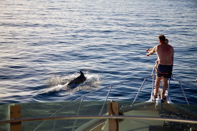 Boat for rent  45.9 feet in Marina Polesana, Croatia