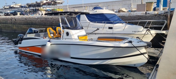 Boat Tours in Tenerife South