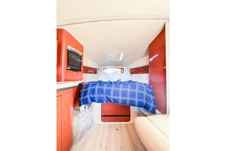 Discover Miami surroundings on this Sundancer Searay boat