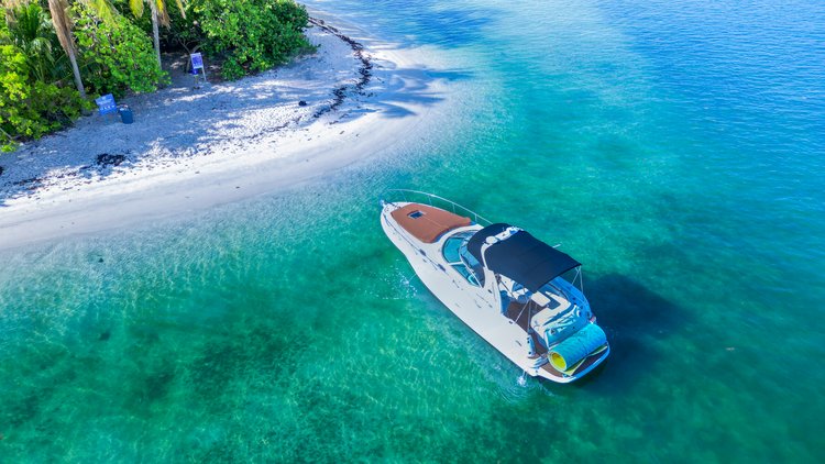 Searay's 36.0 feet in Miami