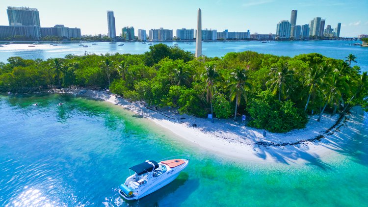 Boat for rent Searay 36.0 feet in Miami, FL