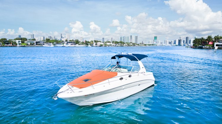 Up to 13 persons can enjoy a ride on this Deck boat boat