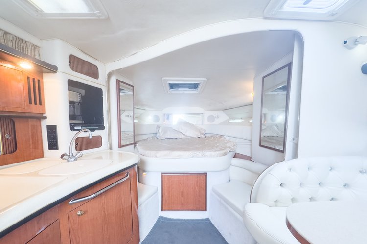 Discover Miami surroundings on this Searay Sundancer boat