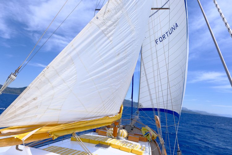 Go on a nautical adventure on this elegant sailboat