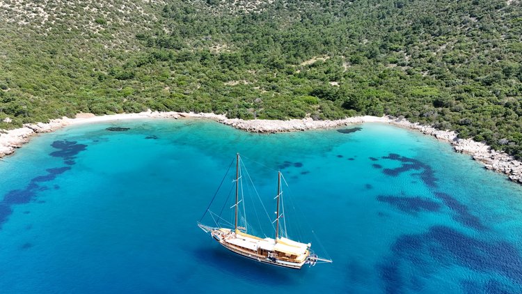 Go on a nautical adventure on this elegant sailboat