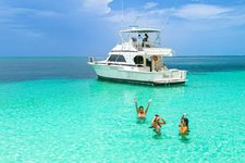 Snorkeling,Turtles ,Swimming Pigs ( Deep Sea Fishing)