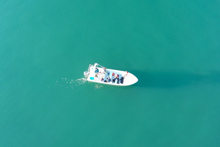 Ria Formosa, Olhão: Private Boat Experience