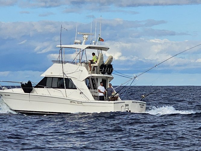 Go on a nautical adventure on this elegant motor boat