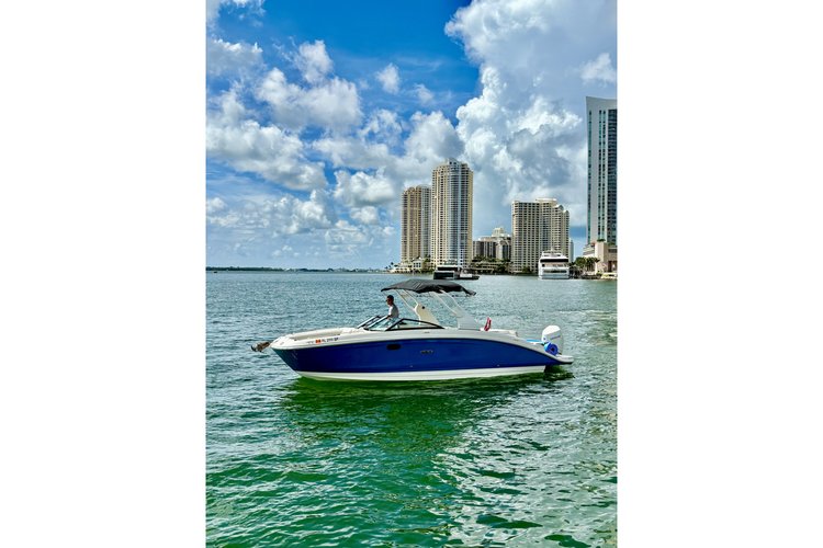 Sea Ray