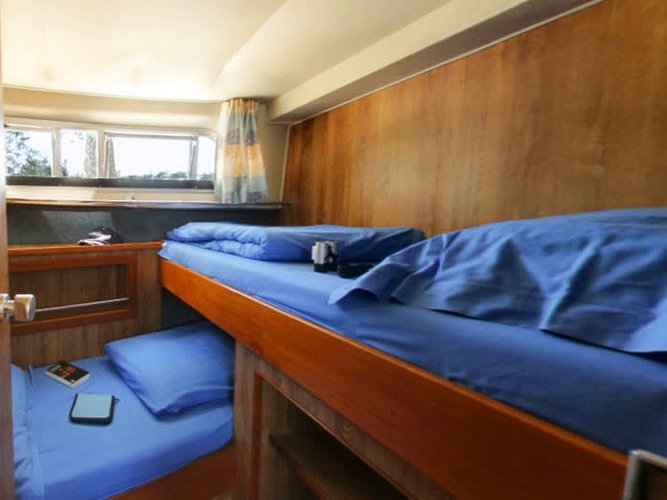 Up to 8 persons can enjoy a ride on this Motor boat boat