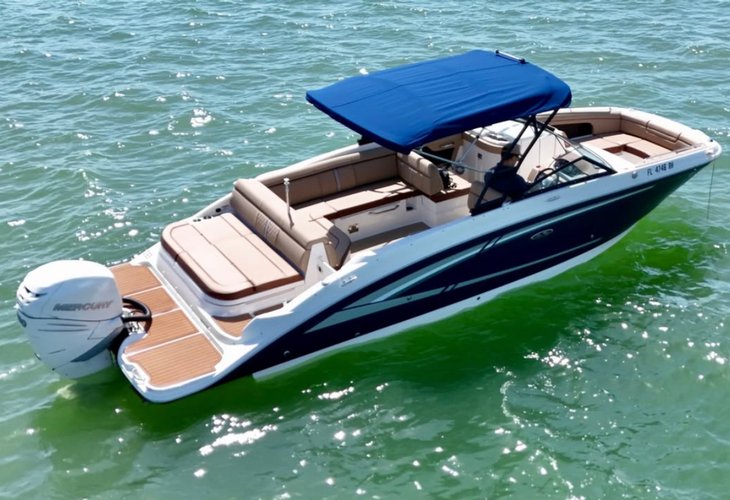 This 27.0' Sea Ray cand take up to 12 passengers around Miami