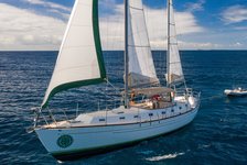 LET’S GO SAILING!— TURTLE SNORKEL