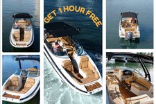 Spectacular Sandbar/Skyline Miami Boat Tour-No Hidden Fees