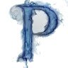 profile icon